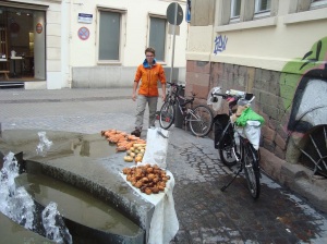 Dans la vieille ville de Heidelberg on participe au folklor en lavant nos patates, carottes, noix et autres panais glanés en route.