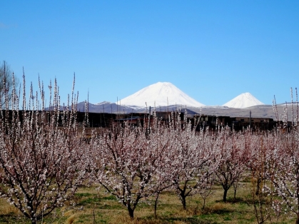 Iran - Mont Ararat sous le printemps