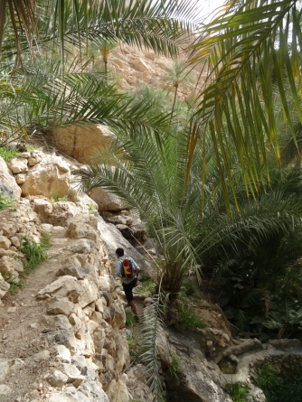 Le wadi
