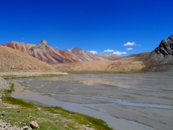 Ladakhi Beauties