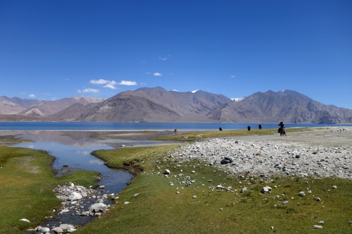 Ladakhi beauties