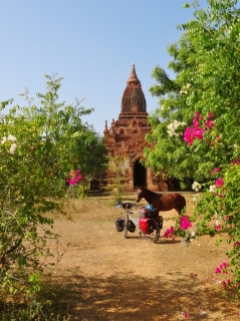 Myanmar - Bagan, la ville aux mille temples