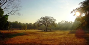 Le jardin de notre hôte à Darwin, typique du climat