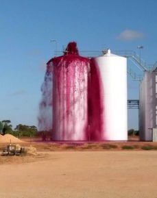 Australie - Un ferment rouge un brin trop actif...