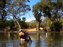 Australie - Pourquoi... mais pourquoi les rangers ont-ils décidé de noyer leur propre parc ?