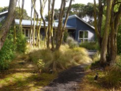 Nouvelle-Zélande - La maison d'une famille de Kiwis, portant un soin tout particulier à l'entretien de la flore originelle du pays.
