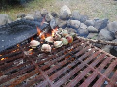 Coques au feu avec un pote de Dunedin