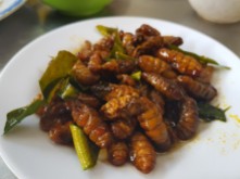 Vietnam - Petit plat de larves bien grasses.